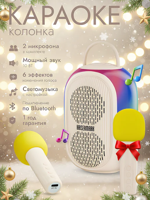 Караоке колонка с двумя микрофонами